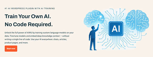 What Is Fine-Tuning